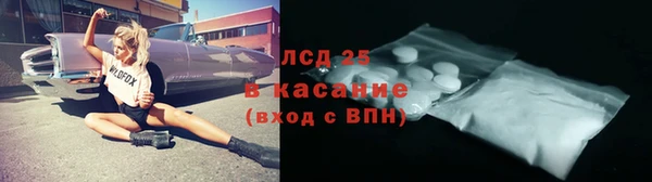 индика Алексеевка