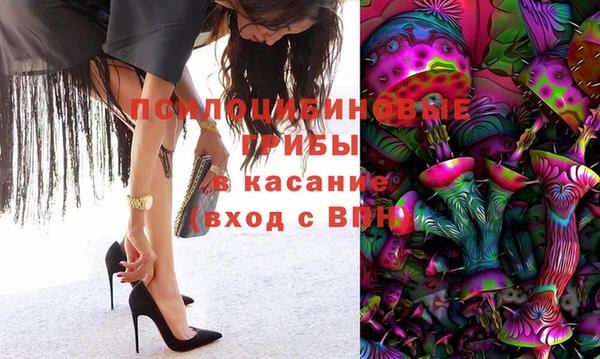 индика Алексеевка